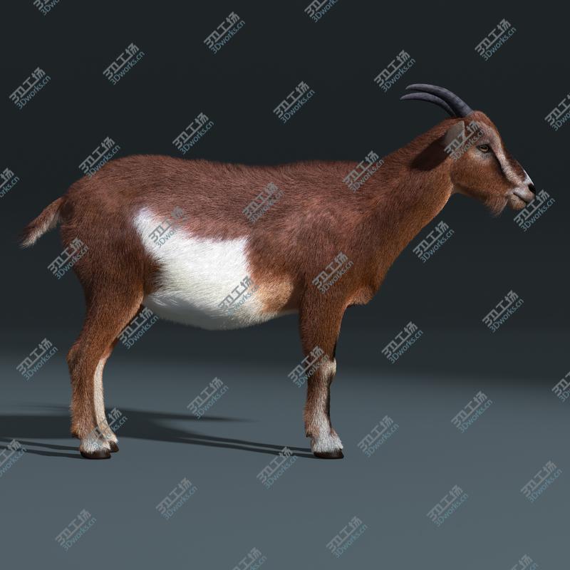 images/goods_img/20210319/Goat (FUR)/4.jpg